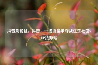 抖音刷粉丝,抖音,一场流量争夺战亿乐社区SUP货源站