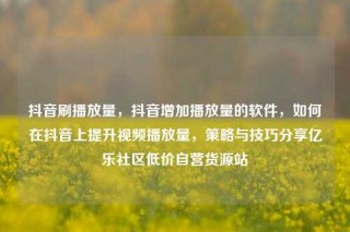抖音刷播放量,抖音增加播放量的软件,如何在抖音上提升视频播放量,策略与技巧分享亿乐社区低价自营货源站