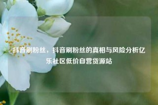 抖音刷粉丝,抖音刷粉丝的真相与风险分析亿乐社区低价自营货源站
