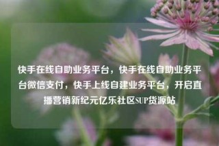 快手在线自助业务平台,快手在线自助业务平台微信支付,快手上线自建业务平台,开启直播营销新纪元亿乐社区SUP货源站