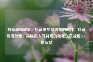 抖音刷播放量,抖音增加播放量的软件,抖音刷播放量,揭秘高人气背后的秘密亿乐社区SUP货源站