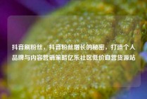 抖音刷粉丝,抖音粉丝增长的秘密,打造个人品牌与内容营销策略亿乐社区低价自营货源站