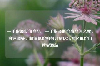 一手货源低价商品,一手货源低价商品怎么卖,直达源头,超值低价购得好货亿乐社区低价自营货源站