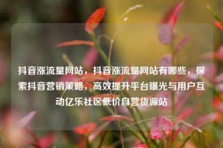 抖音涨流量网站,抖音涨流量网站有哪些,探索抖音营销策略,高效提升平台曝光与用户互动亿乐社区低价自营货源站
