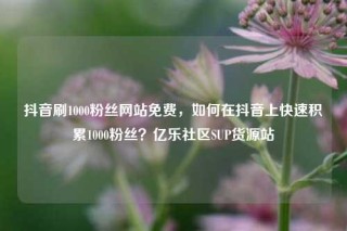 抖音刷1000粉丝网站免费,如何在抖音上快速积累1000粉丝?亿乐社区SUP货源站