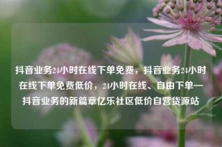 抖音业务24小时在线下单免费,抖音业务24小时在线下单免费低价,24小时在线、自由下单—抖音业务的新篇章亿乐社区低价自营货源站