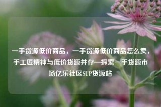一手货源低价商品,一手货源低价商品怎么卖,手工匠精神与低价货源并存—探索一手货源市场亿乐社区SUP货源站