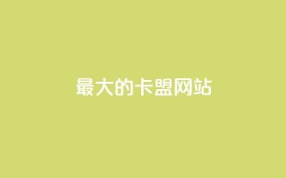 最大的卡盟网站,807卡盟网 - 卡盟刷svip永久不封号网站 - 抖音充值官方1:1