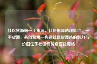 社区货源站一手货源,社区货源站超低价,一手货源,共创繁荣—构建社区货源站的魅力与价值亿乐社区低价自营货源站