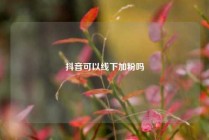 抖音可以线下加粉吗