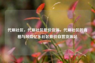 代刷社区,代刷社区低价货源,代刷社区的真相与风险亿乐社区低价自营货源站