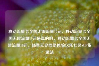 移动流量卡全国无限流量19元,移动流量卡全国无限流量19元是真的吗,移动流量卡全国无限流量19元,畅享无尽网络体验亿乐社区SUP货源站
