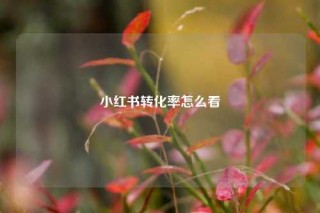 小红书转化率怎么看