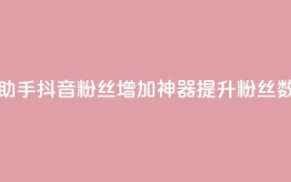 抖音粉丝增加助手(抖音粉丝增加神器:提升粉丝数量的最佳助手)