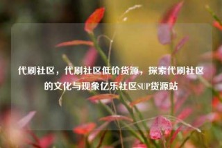 代刷社区,代刷社区低价货源,探索代刷社区的文化与现象亿乐社区SUP货源站