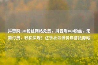抖音刷1000粉丝网站免费,抖音刷1000粉丝,无需付费,轻松实现!亿乐社区低价自营货源站