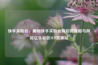 快手买粉丝,揭秘快手买粉丝背后的真相与风险亿乐社区SUP货源站