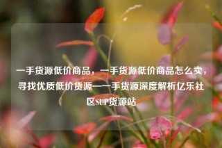 一手货源低价商品,一手货源低价商品怎么卖,寻找优质低价货源—一手货源深度解析亿乐社区SUP货源站