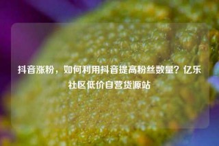 抖音涨粉,如何利用抖音提高粉丝数量?亿乐社区低价自营货源站