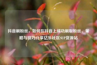 抖音刷粉丝,如何在抖音上成功刷取粉丝,策略与技巧分享亿乐社区SUP货源站
