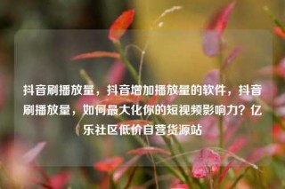抖音刷播放量,抖音增加播放量的软件,抖音刷播放量,如何最大化你的短视频影响力?亿乐社区低价自营货源站