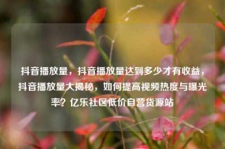 抖音播放量,抖音播放量达到多少才有收益,抖音播放量大揭秘,如何提高视频热度与曝光率?亿乐社区低价自营货源站