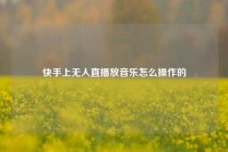 快手上无人直播放音乐怎么操作的