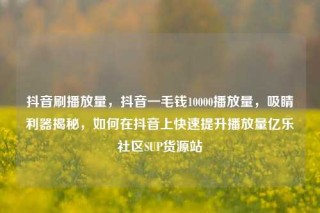 抖音刷播放量,抖音一毛钱10000播放量,吸睛利器揭秘,如何在抖音上快速提升播放量亿乐社区SUP货源站