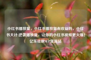 小红书播放量,小红书播放量有收益吗,小红书大计:逆袭播放量,让你的小红书视频更火爆!亿乐社区SUP货源站