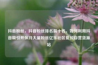 抖音粉丝,抖音粉丝排名前十名,如何利用抖音吸引并保持大量粉丝亿乐社区低价自营货源站