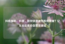 抖音涨粉，抖音，如何快速提升粉丝数量？亿乐社区低价自营货源站