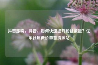 抖音涨粉，抖音，如何快速提升粉丝数量？亿乐社区低价自营货源站