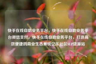 快手在线自助业务平台，快手在线自助业务平台微信支付，快手在线自助业务平台，打造高效便捷的商业生态系统亿乐社区SUP货源站