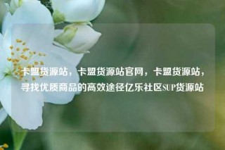 卡盟货源站,卡盟货源站官网,卡盟货源站,寻找优质商品的高效途径亿乐社区SUP货源站