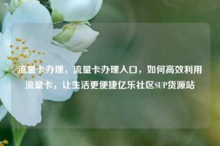 流量卡办理,流量卡办理入口,如何高效利用流量卡,让生活更便捷亿乐社区SUP货源站
