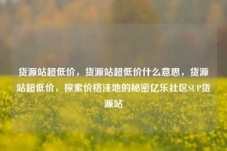 货源站超低价,货源站超低价什么意思,货源站超低价,探索价格洼地的秘密亿乐社区SUP货源站