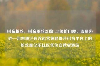 抖音粉丝,抖音粉丝灯牌1-20级价目表,流量密码—如何通过有效运营策略提升抖音平台上的粉丝量亿乐社区低价自营货源站