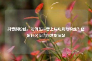 抖音刷粉丝,如何在抖音上成功刷取粉丝?亿乐社区低价自营货源站