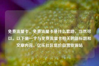 免费流量卡，免费流量卡是什么套路，当然可以。以下是一个与免费流量卡相关的新标题和文章内容，亿乐社区低价自营货源站