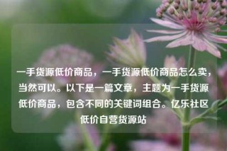 一手货源低价商品,一手货源低价商品怎么卖,当然可以。以下是一篇文章,主题为一手货源低价商品,包含不同的关键词组合。亿乐社区低价自营货源站