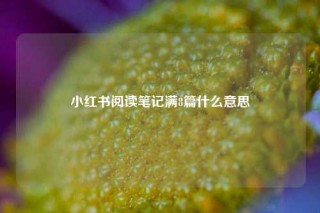 小红书阅读笔记满8篇什么意思