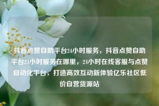抖音点赞自助平台24小时服务,抖音点赞自助平台24小时服务在哪里,24小时在线客服与点赞自动化平台,打造高效互动新体验亿乐社区低价自营货源站