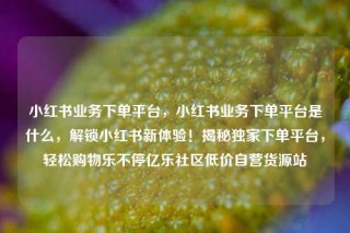小红书业务下单平台,小红书业务下单平台是什么,解锁小红书新体验!揭秘独家下单平台,轻松购物乐不停亿乐社区低价自营货源站