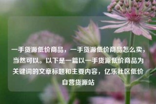 一手货源低价商品,一手货源低价商品怎么卖,当然可以。以下是一篇以一手货源低价商品为关键词的文章标题和主要内容,亿乐社区低价自营货源站