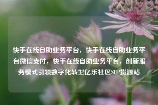 快手在线自助业务平台，快手在线自助业务平台微信支付，快手在线自助业务平台，创新服务模式引领数字化转型亿乐社区SUP货源站