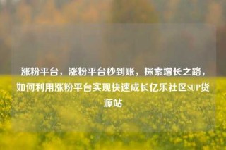涨粉平台,涨粉平台秒到账,探索增长之路,如何利用涨粉平台实现快速成长亿乐社区SUP货源站