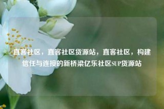 直客社区，直客社区货源站，直客社区，构建信任与连接的新桥梁亿乐社区SUP货源站