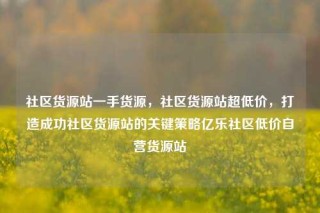 社区货源站一手货源,社区货源站超低价,打造成功社区货源站的关键策略亿乐社区低价自营货源站