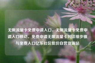 无限流量卡免费申请入口，无限流量卡免费申请入口移动，免费申请无限流量卡的详细步骤与免费入口亿乐社区低价自营货源站
