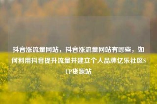 抖音涨流量网站,抖音涨流量网站有哪些,如何利用抖音提升流量并建立个人品牌亿乐社区SUP货源站